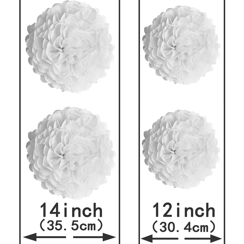 AWESON PARTY White Frozen Party Hanging Decorations - Wonderland 1st Birthday Baby Shower Nursery Wedding Bridal Shower Party Tissue Paper Pom-poms Fans Flowers Photo Booth Backdrops Decorations, 10pc - Image 3